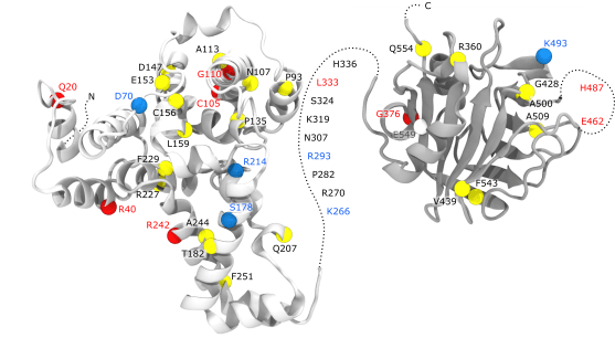 structures2-newColors-noInsets